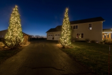 Hudson Christmas Tree Lightng