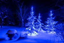 blue Christmas lighting