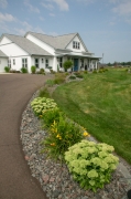 Driveway and Pathway landscaping